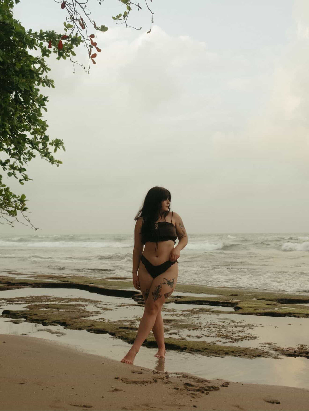 The Frolic Set - Cacao Noir