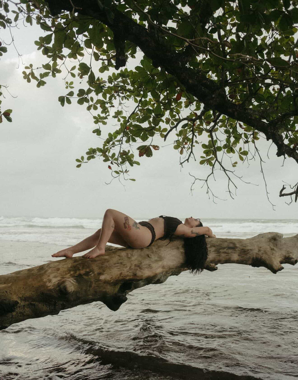 The Frolic Set - Cacao Noir